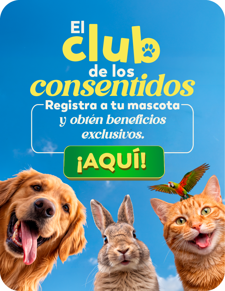 El Club de los Consentidos